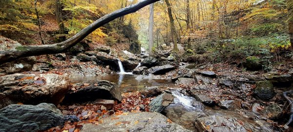 Quels sont les critères pour sélectionner une chaudière à condensation pour une maison ?